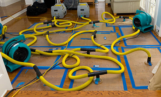Professional Water Damage Repair technician working in Lexington, OK